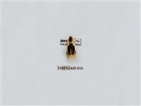 藏品(黑長斑苔蛾)的圖片